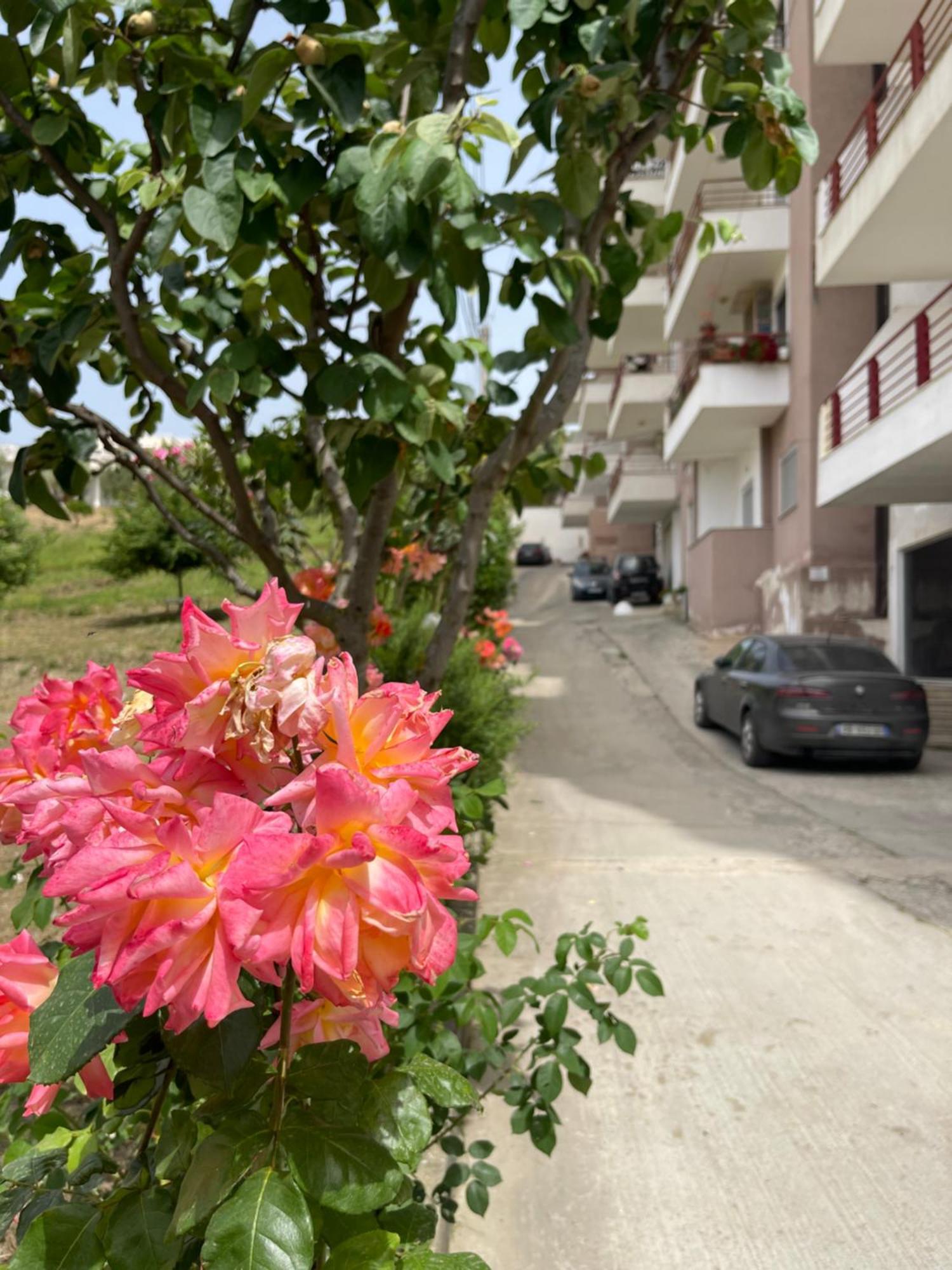 Beach Apartments Durrës Esterno foto